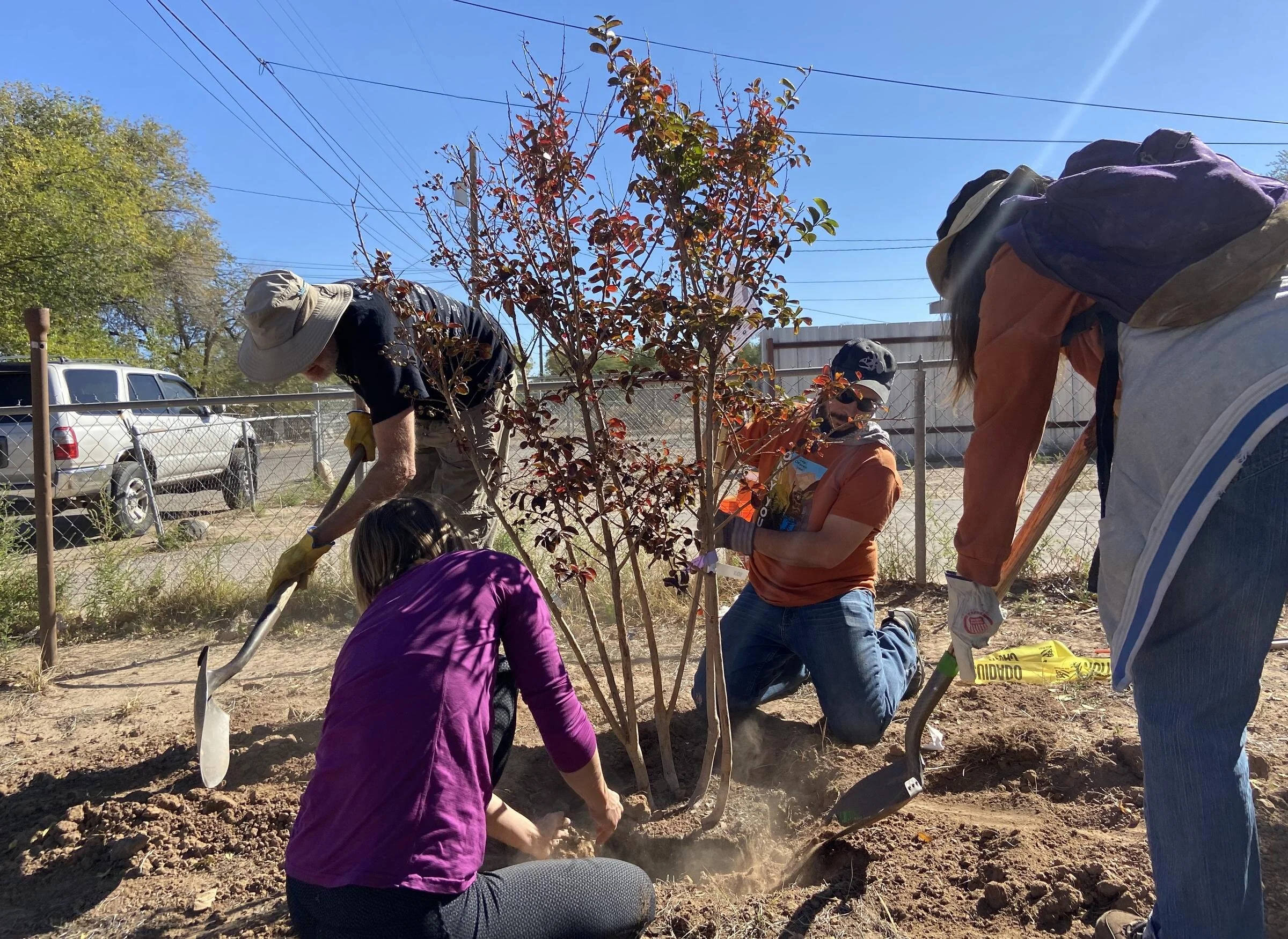 AlbuquerqueTreePlanting.jpg