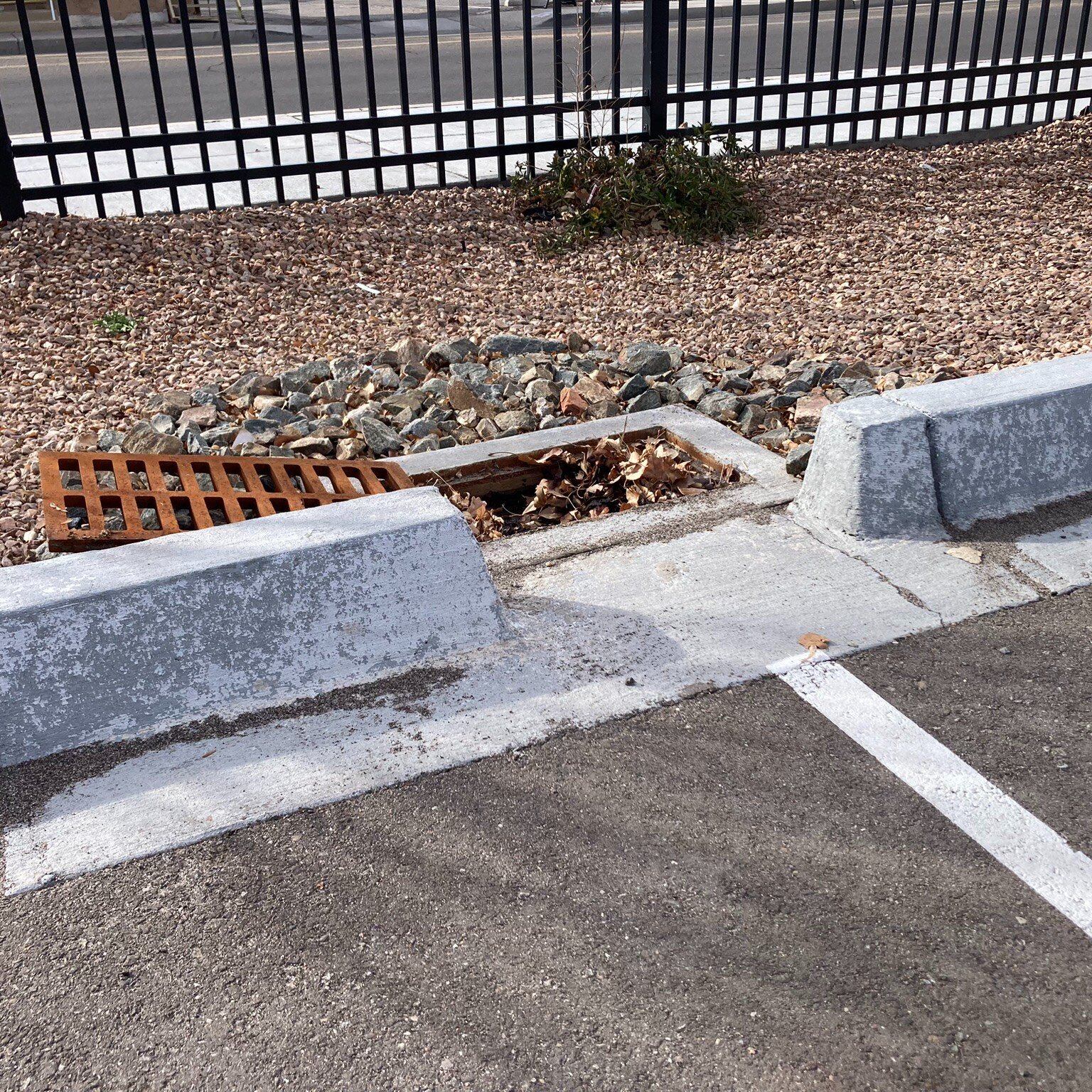 I know, I know. A curb cut and a mucky concrete box for today&rsquo;s post? NOPE! It&rsquo;s a sediment trap &ndash; the underrated workhorse of many green stormwater infrastructure (GSI) landscapes in the urban environment. That silt, debris, litter
