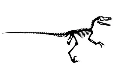 velociraptor-1515313619.jpg