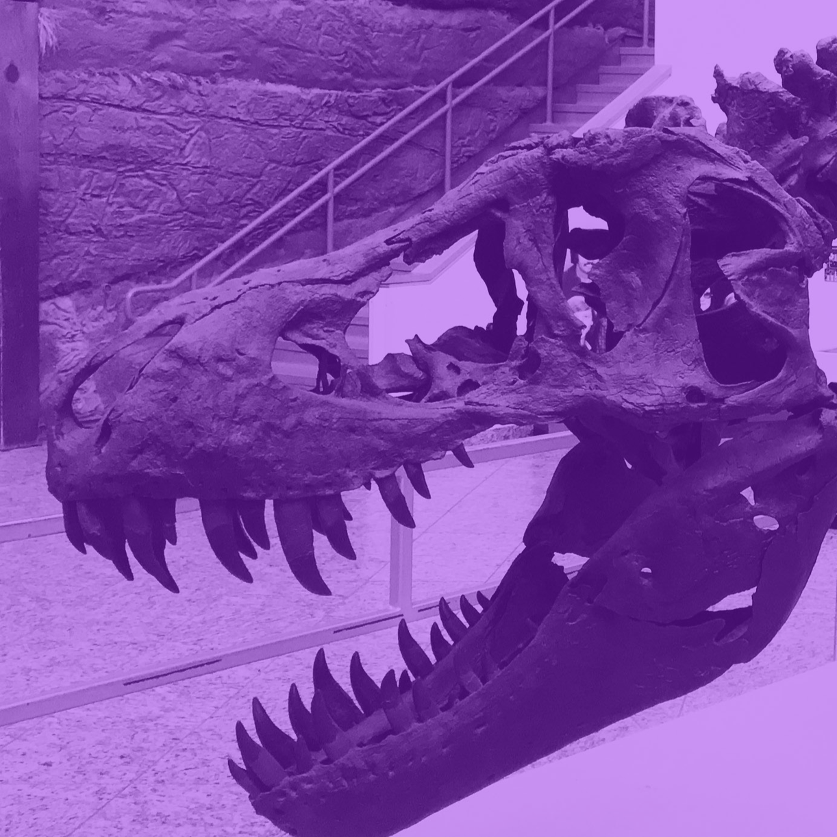 TREX+Purple.png