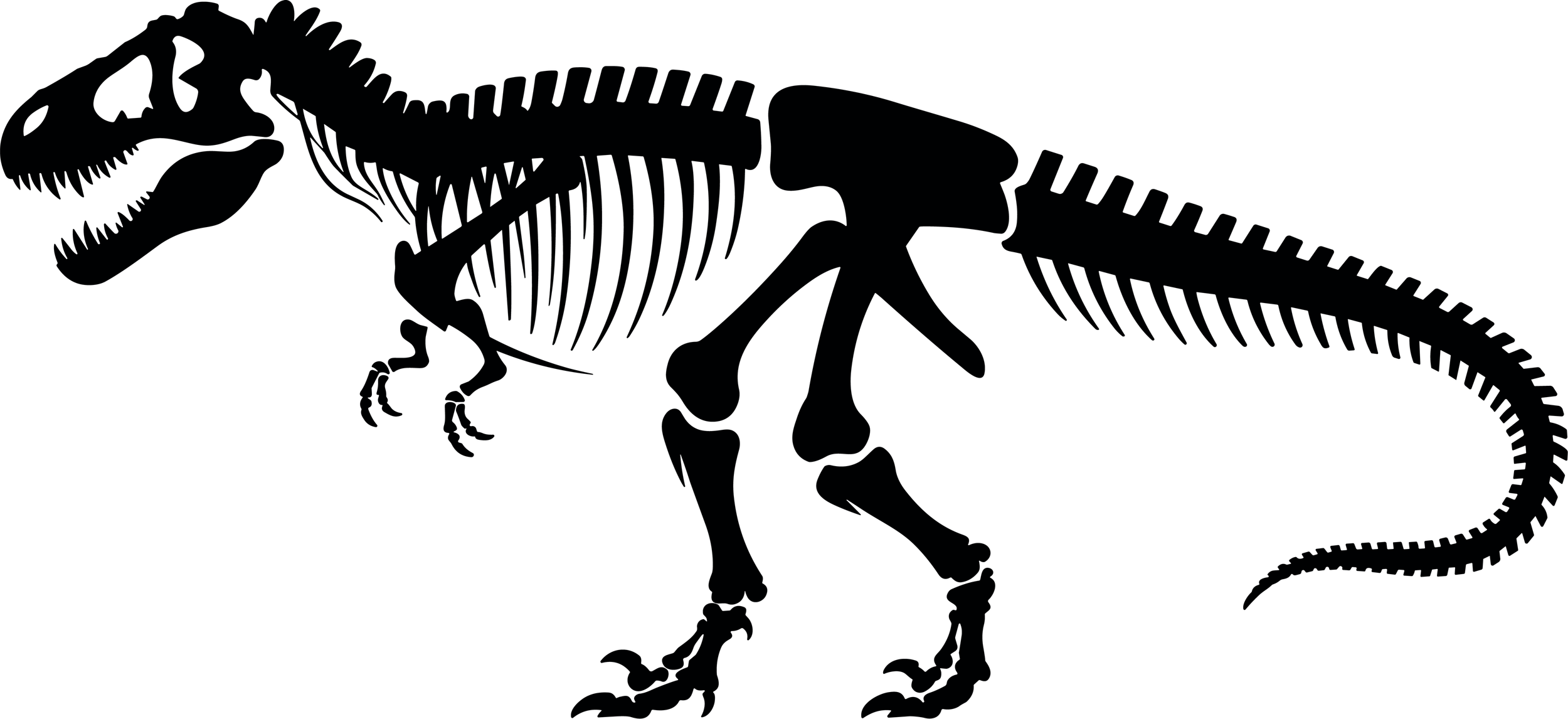 Bisti Beast: Title Sponsor