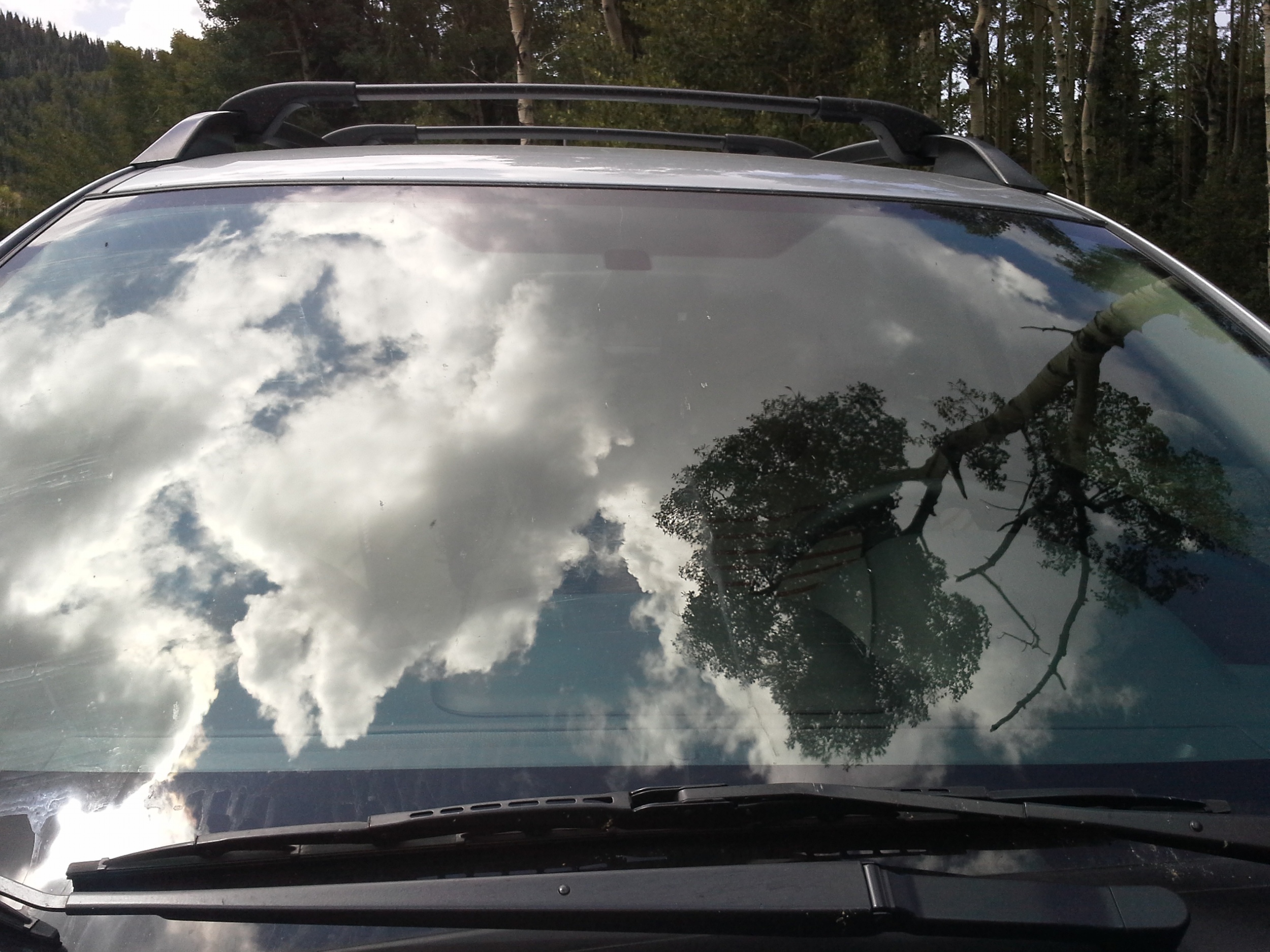 20140727_114920.jpg