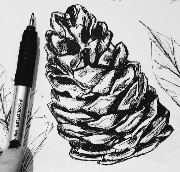 Started working on a cottage country themed wedding suite for a friend! Reminded me of my love for graphic pen illustration. 