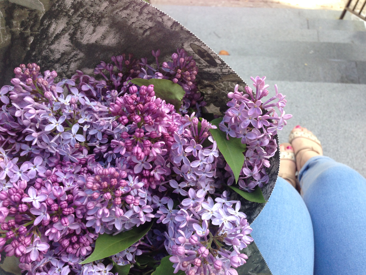 Lilac's from the Atwater Market that I was lucky enough to live so close to!