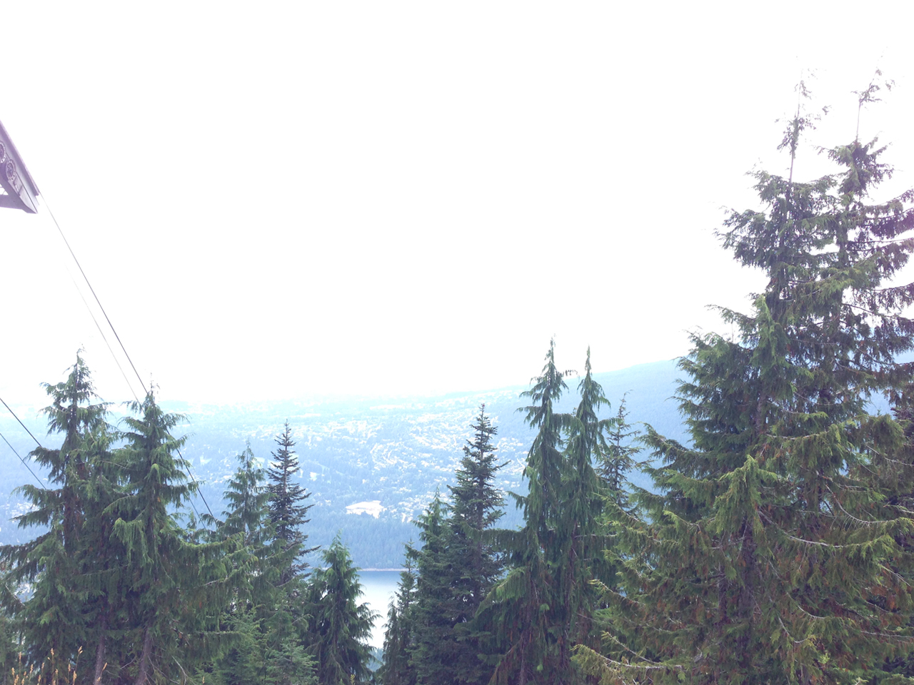 Then finally the trees begin to thin and after 1.5 hours of climbing (and accidentally taking the wrong trail for 20 min) you make it to the top!