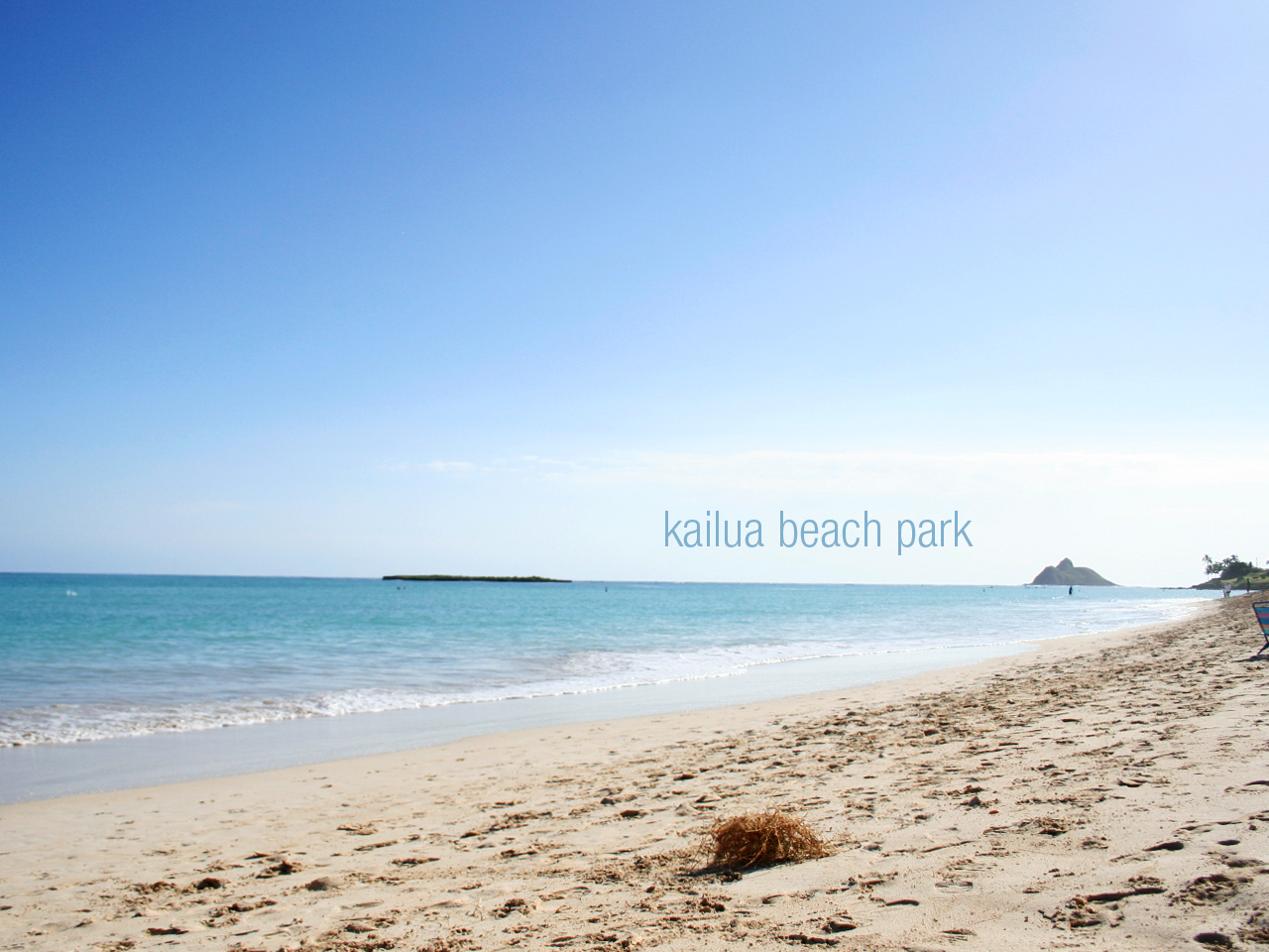 Next stop- Kailua beach park! We got here before 9am and almost had the beach to ourselves. Us and a cute old Italian man who vacations there for 3 months each year.