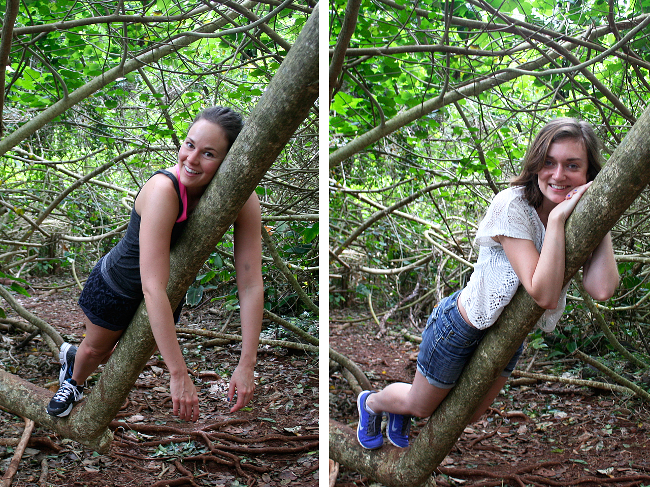 The hike was really nice and the forest was so luscious! There was a cool tangle of huge low hanging branches so we had to "sloth" on them, obviously. 