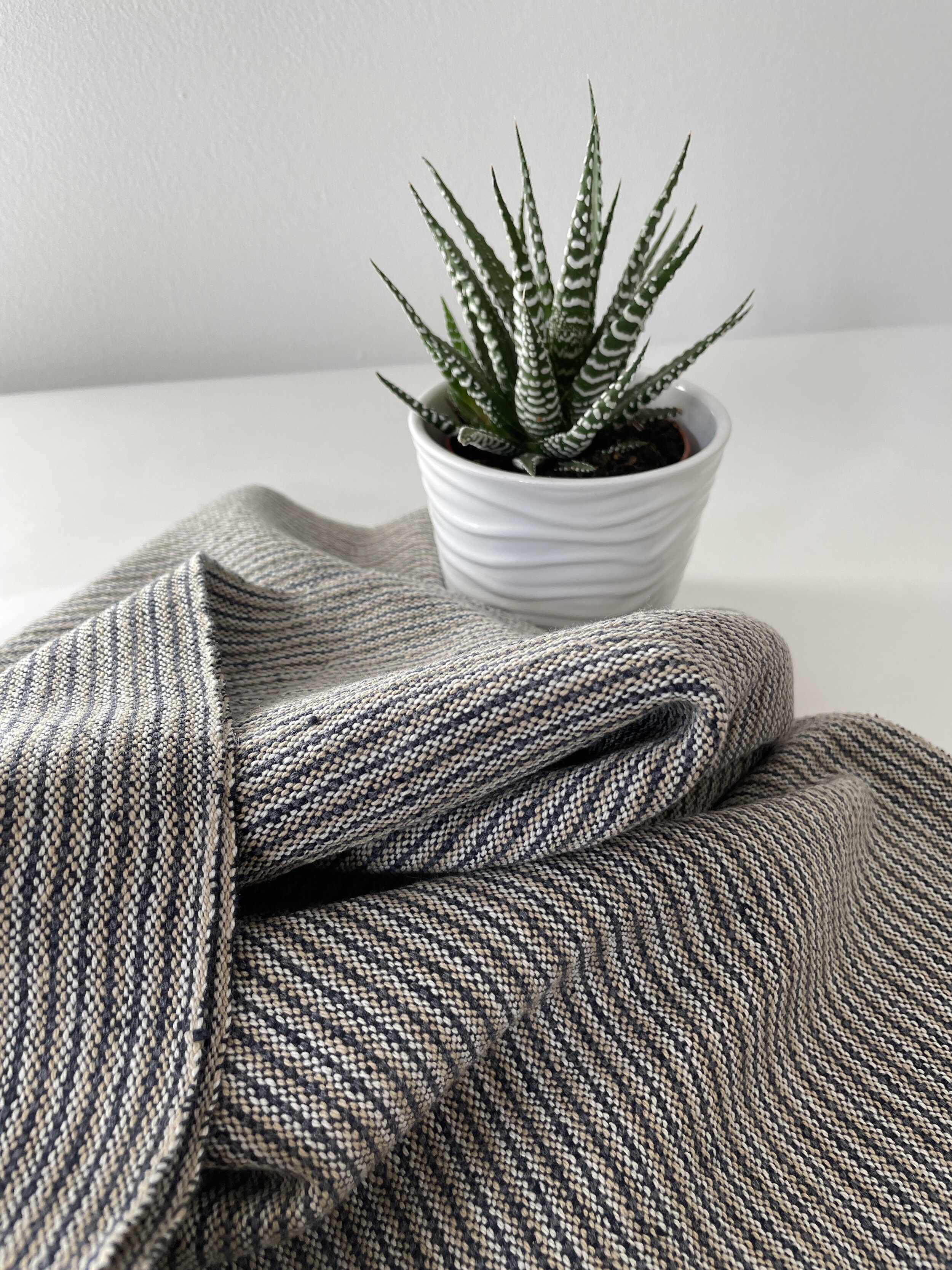 A potted succulent plant with green, spiky, patterned leaves placed on a woven fabric with a light-colored wall in the background.