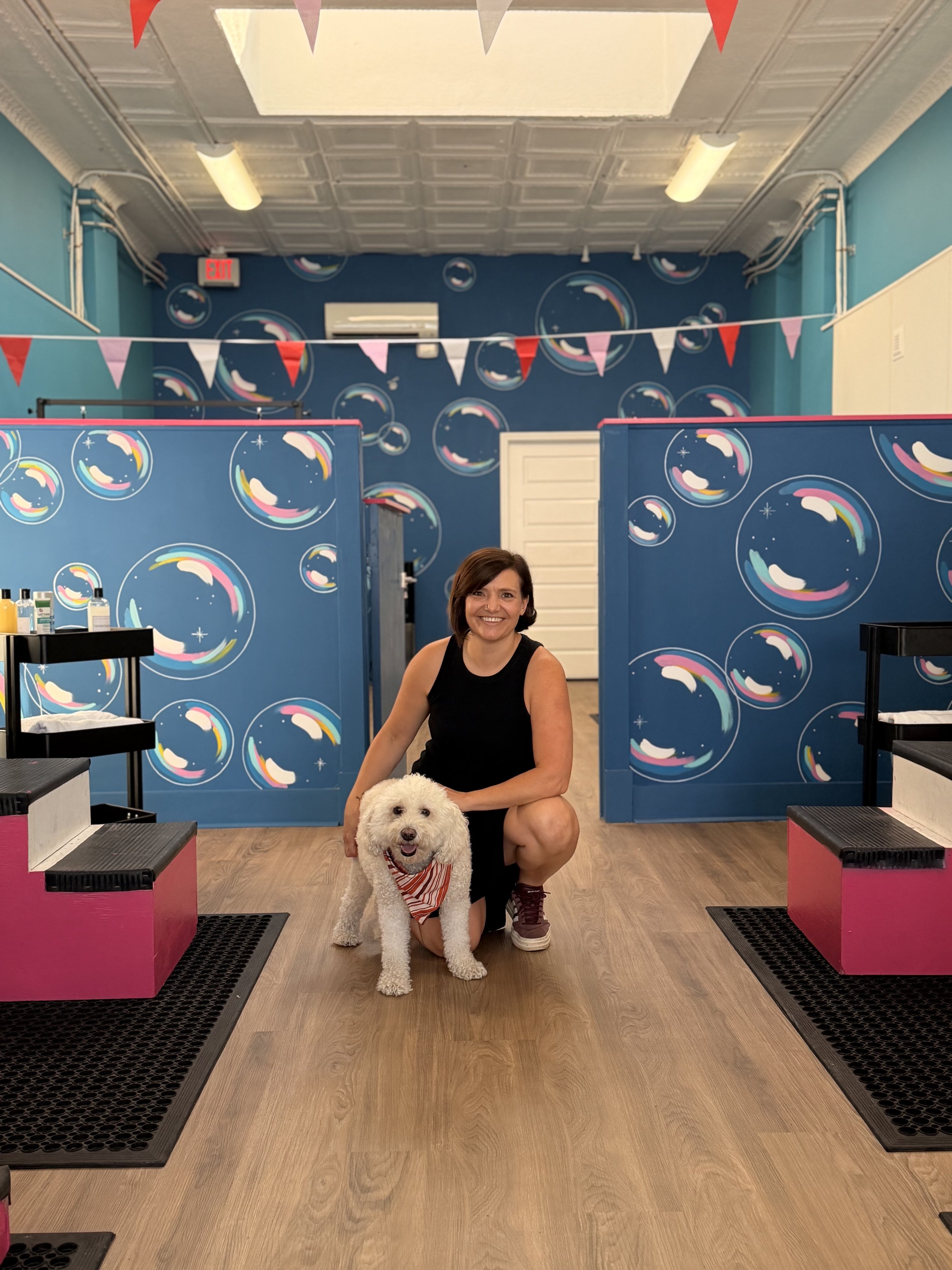 Bubble mural for the opening of a new dog grooming / bathing shop (Modern Mutt) in Richmond, Virginia. Sept 2026