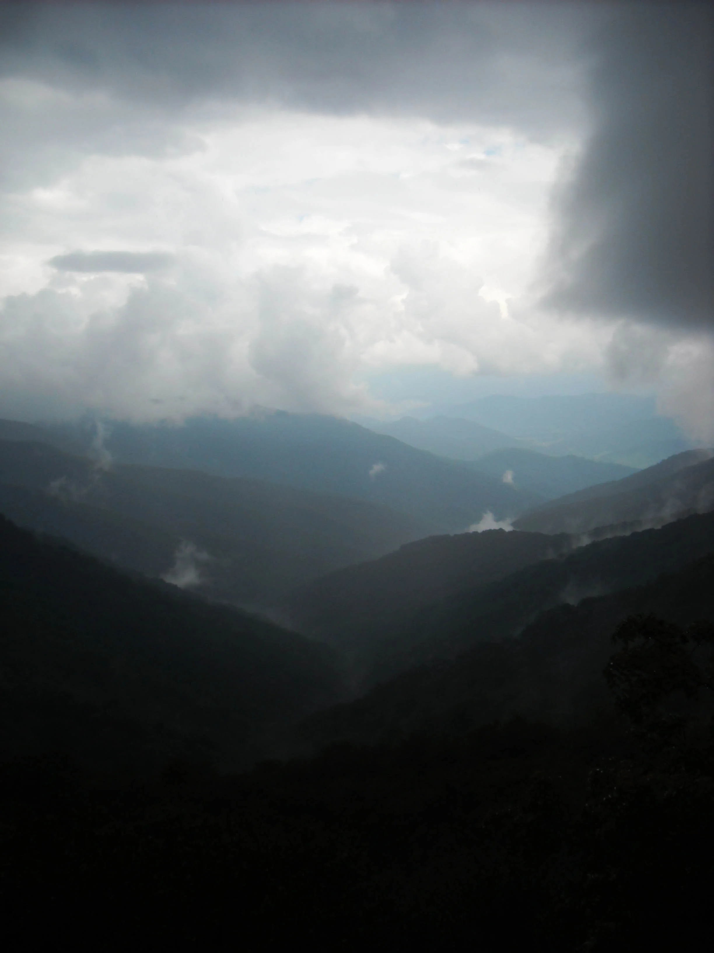 Smokies.jpg