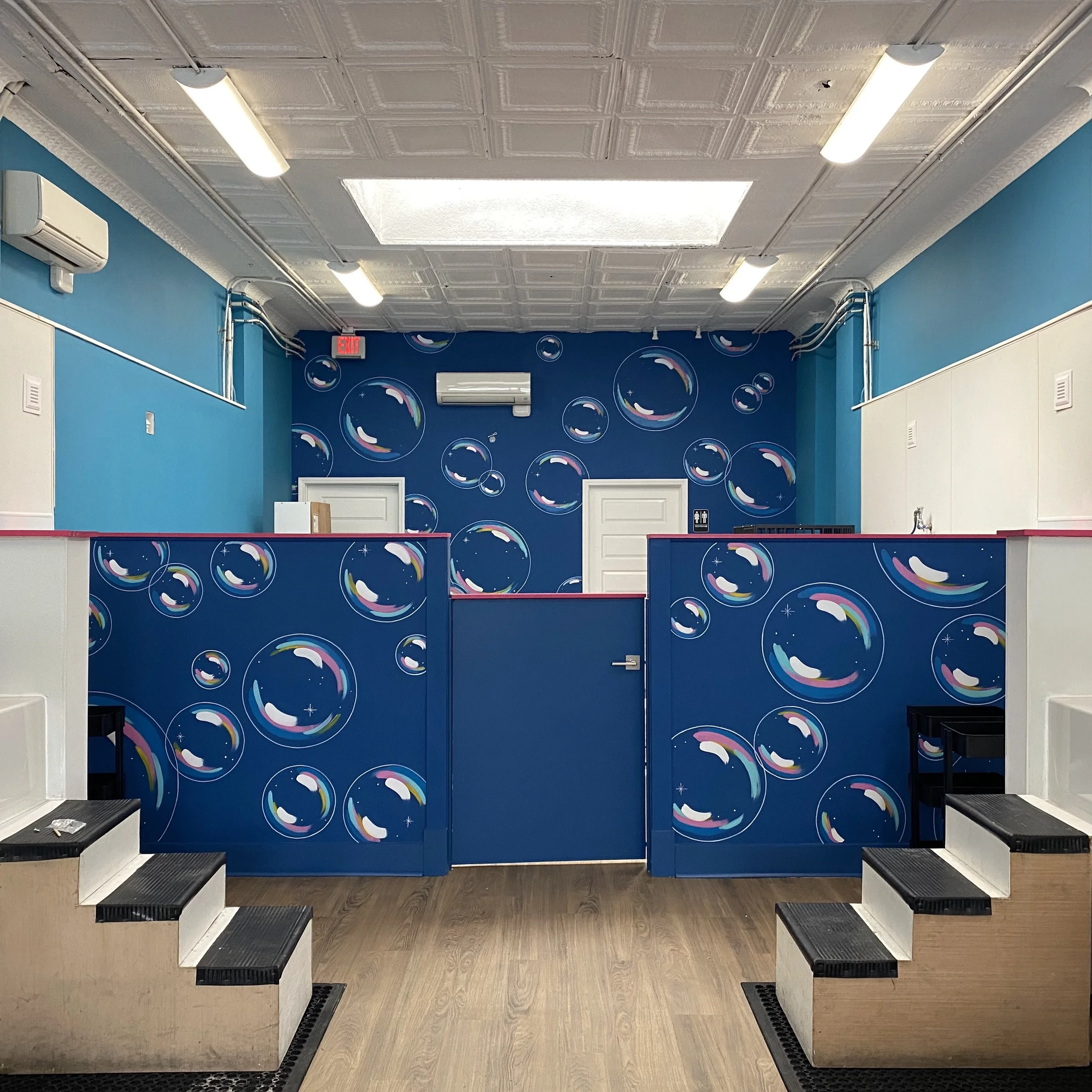 Two-wall bubble mural for Modern Mutt in Richmond, Virginia. Sept 2026