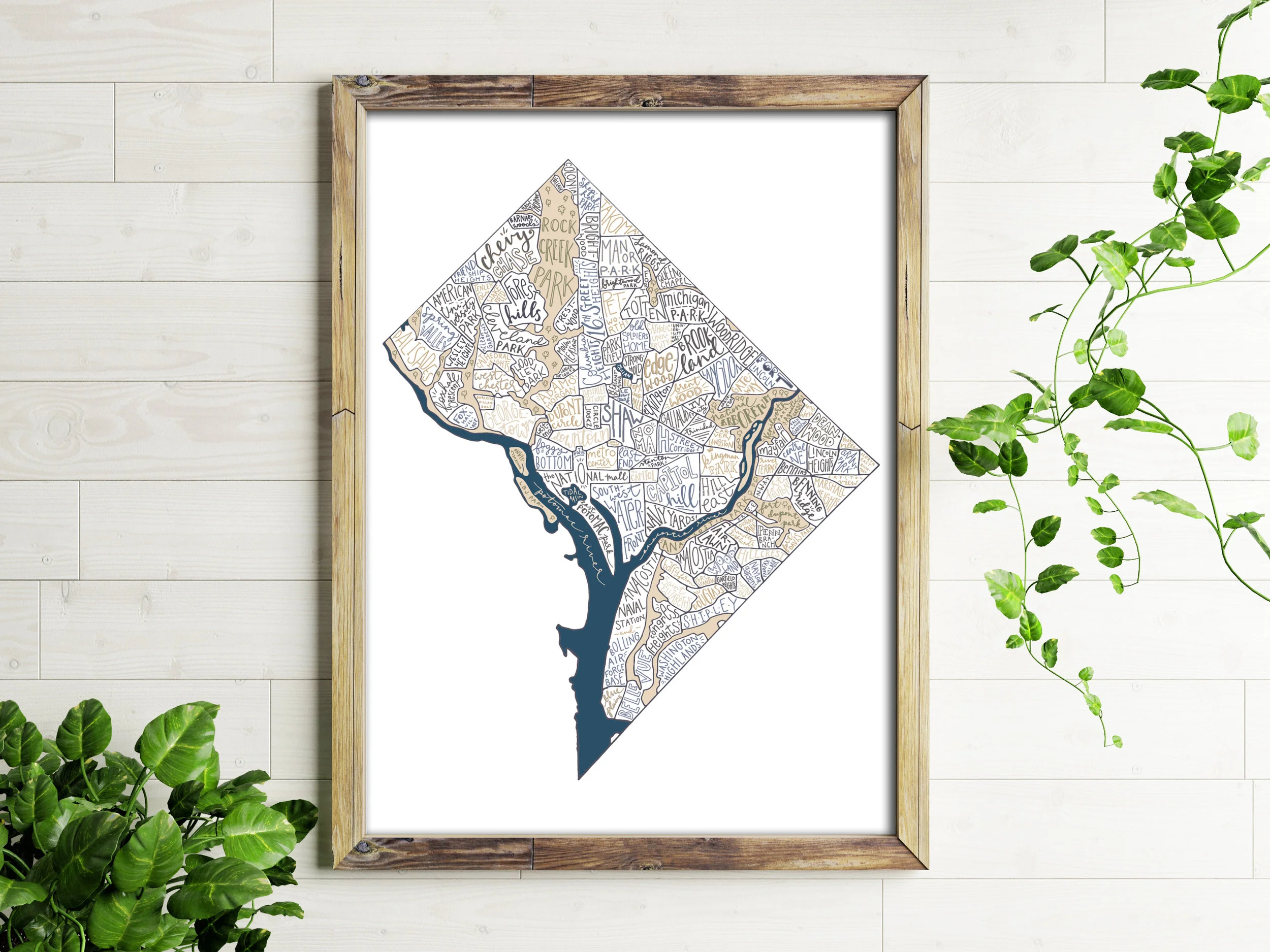 DC Etsy 1.jpg