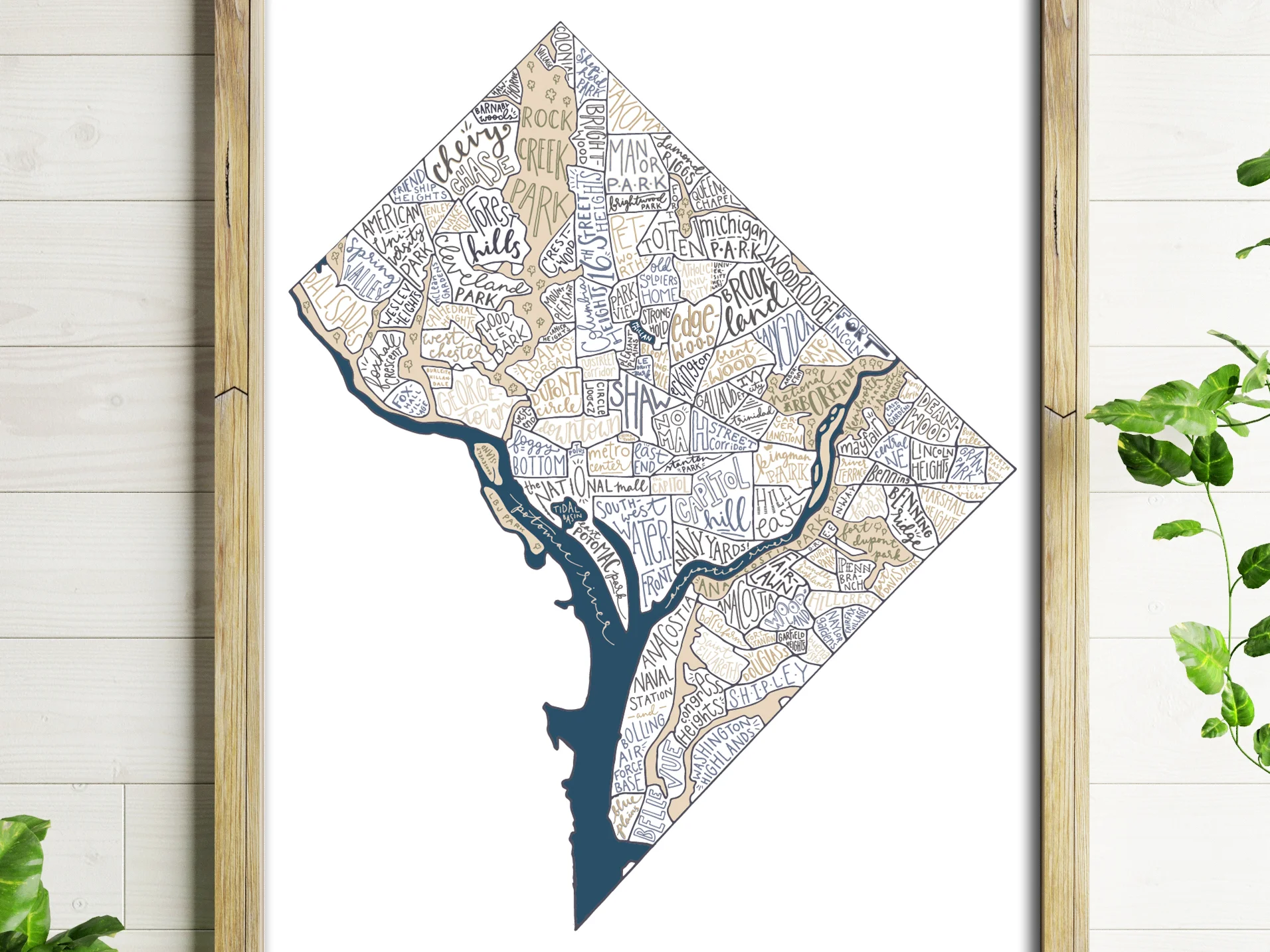 DC Etsy 3.jpg