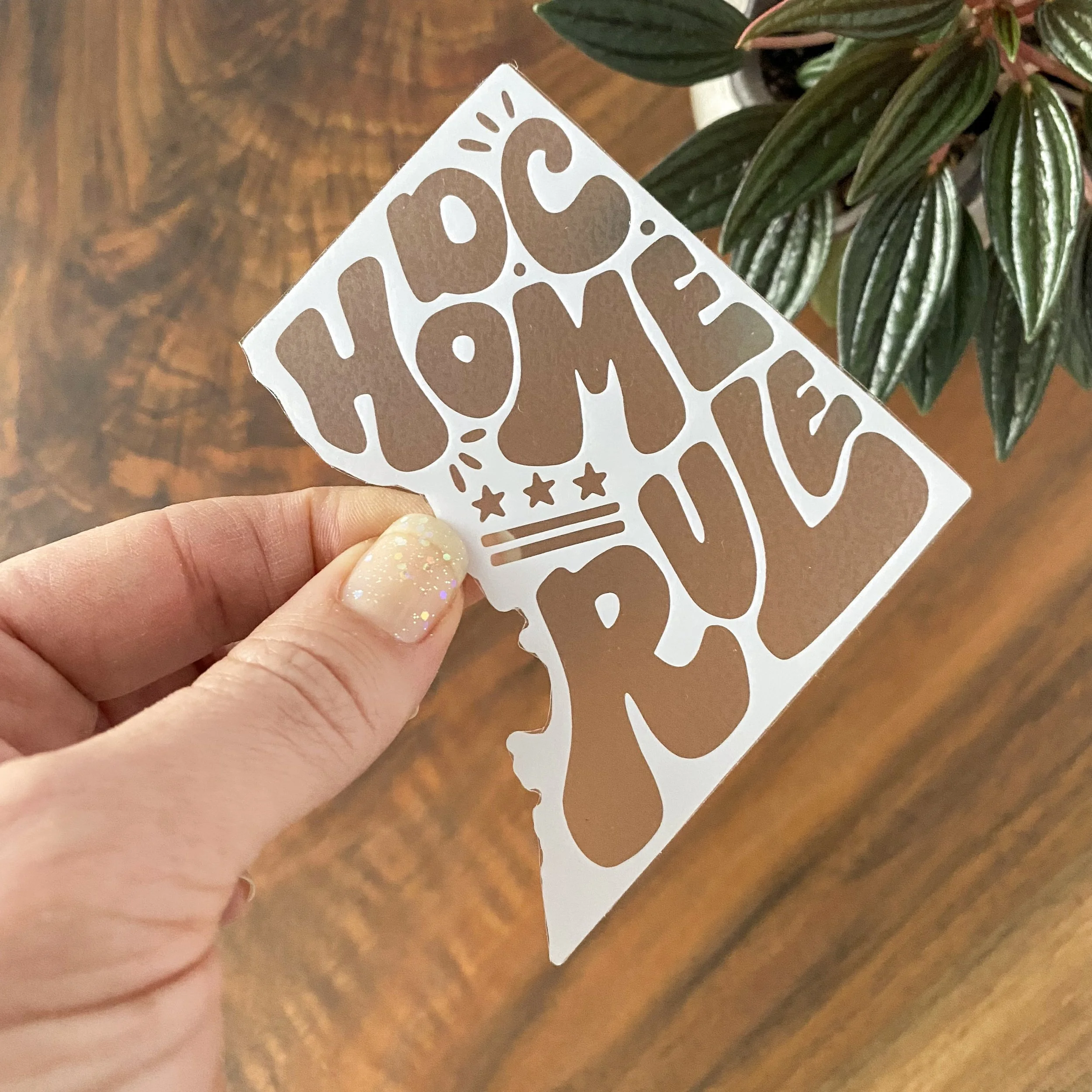 ST-DCHR | DC Home Rule White on Clear Sticker