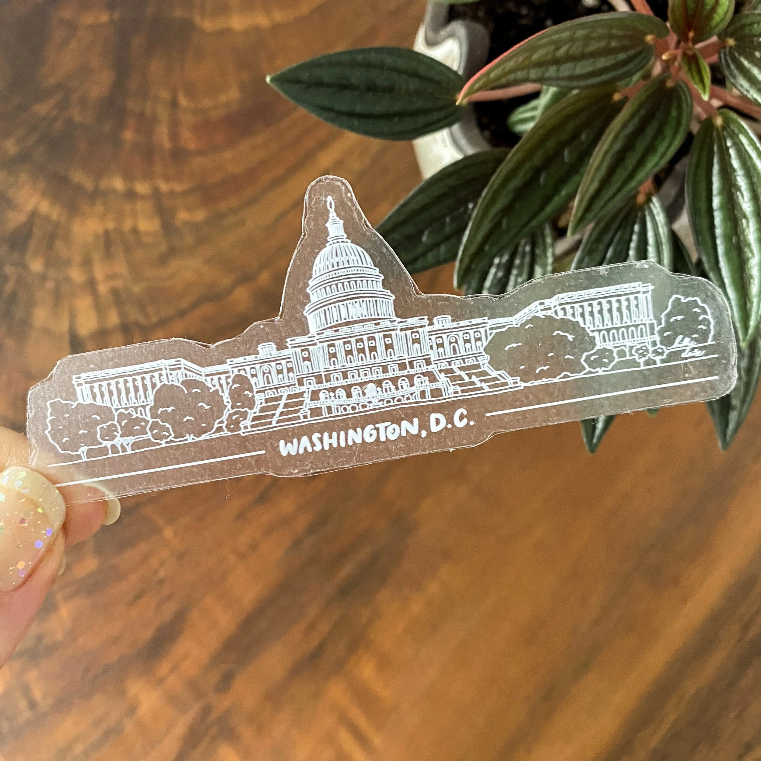 DC Capitol White on Clear Sticker 3 - Billie Claire.jpg