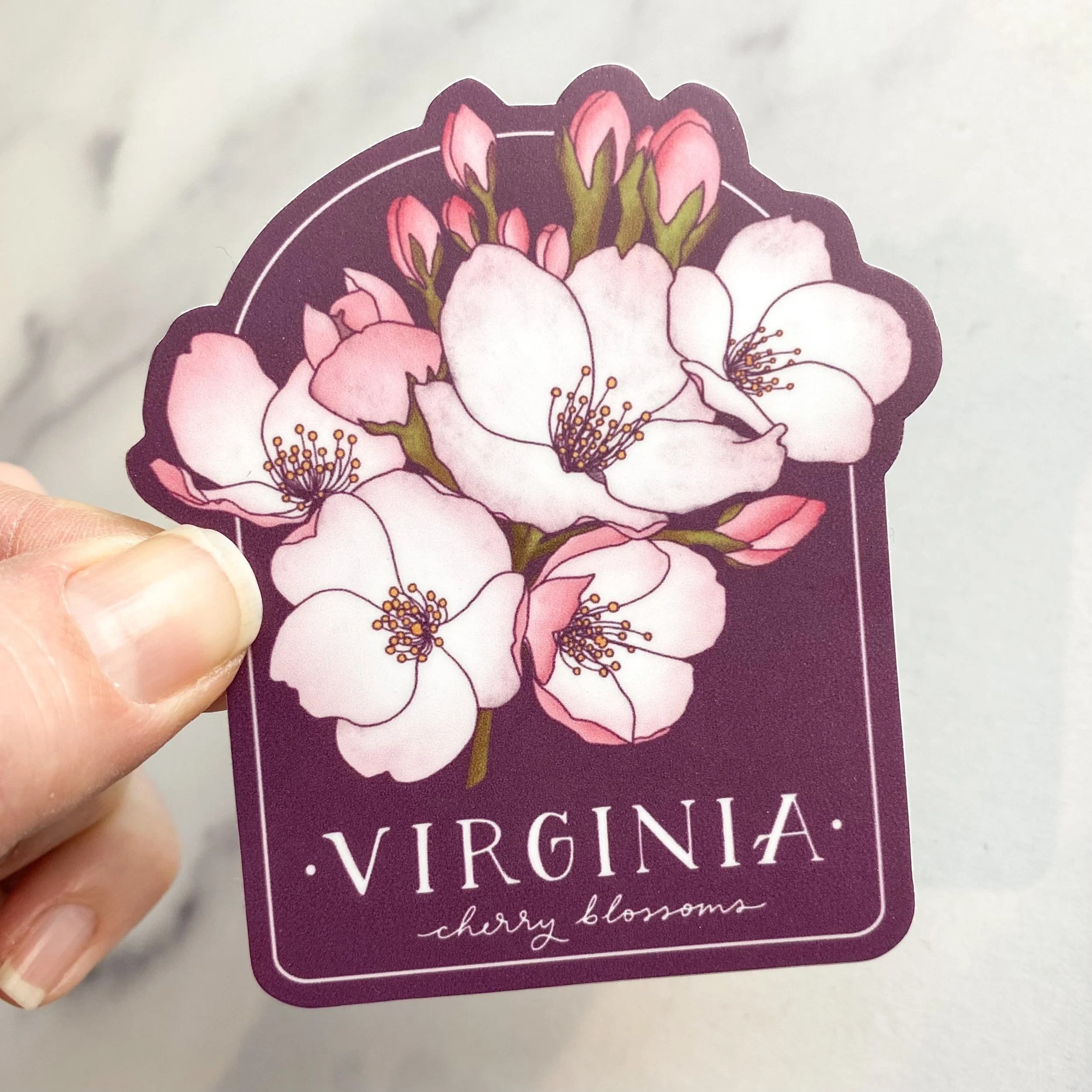 ST-VACB | Virginia Cherry Blossoms