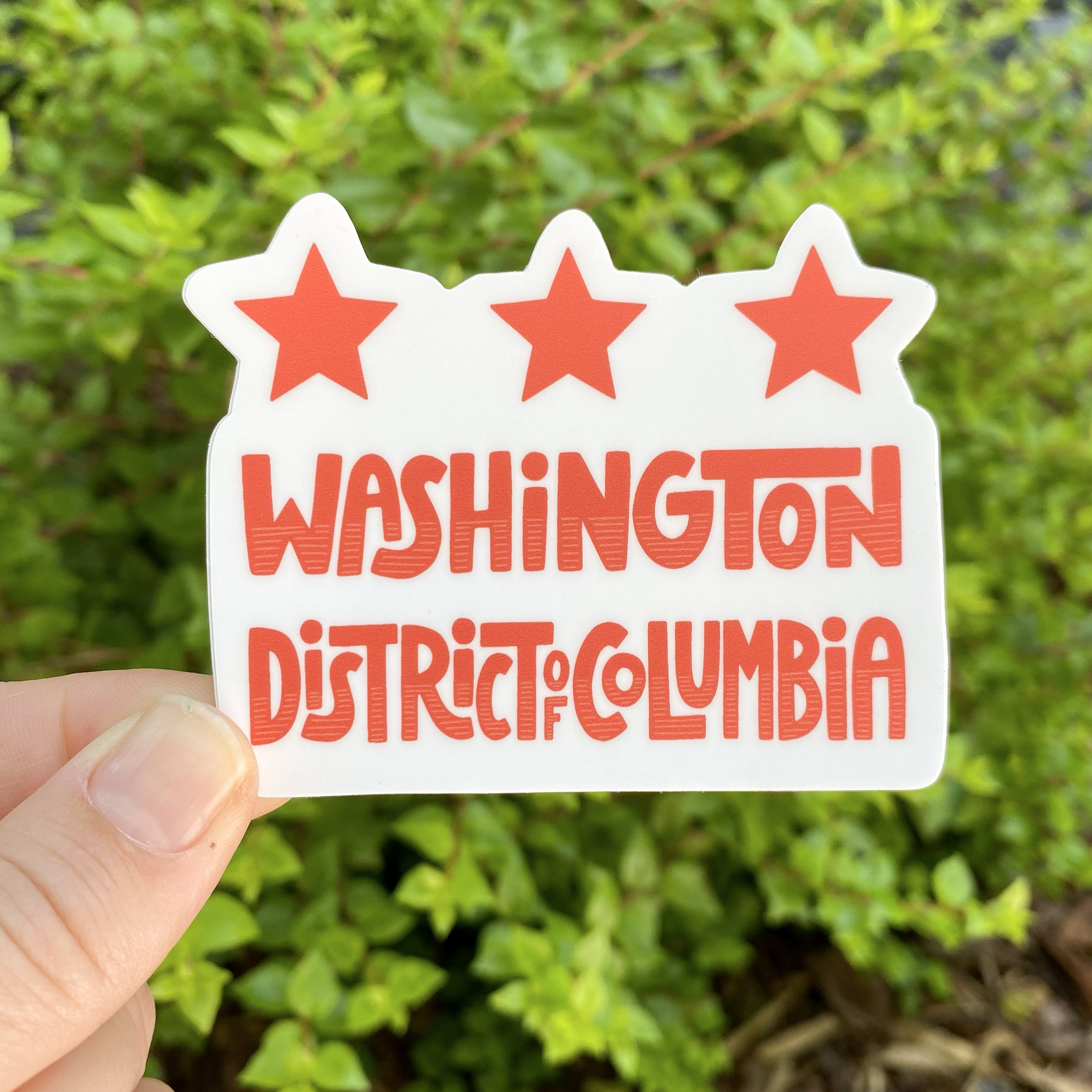 DC Flag 2.jpg