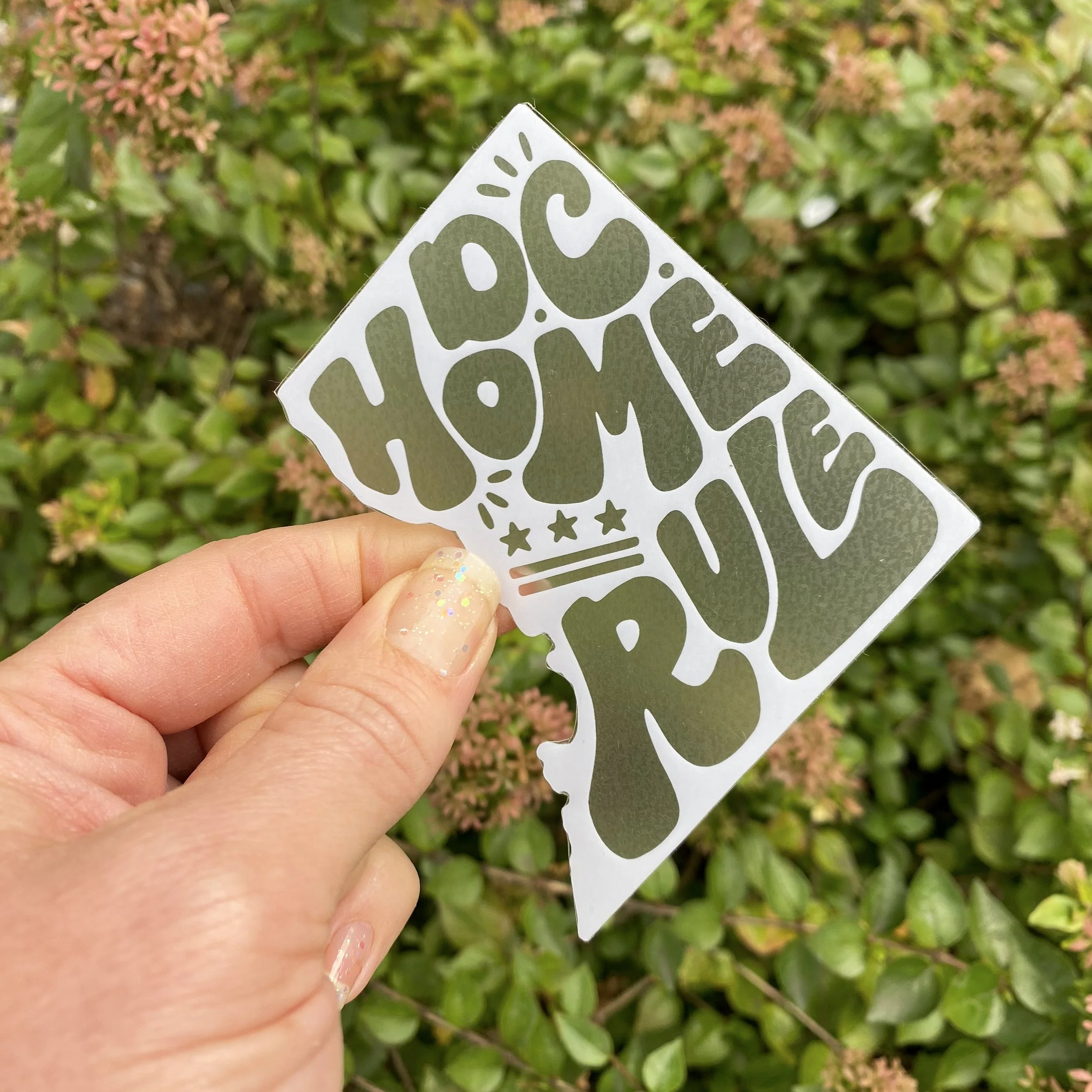 DC Home Rule Sticker 3 - Billie Claire.jpg