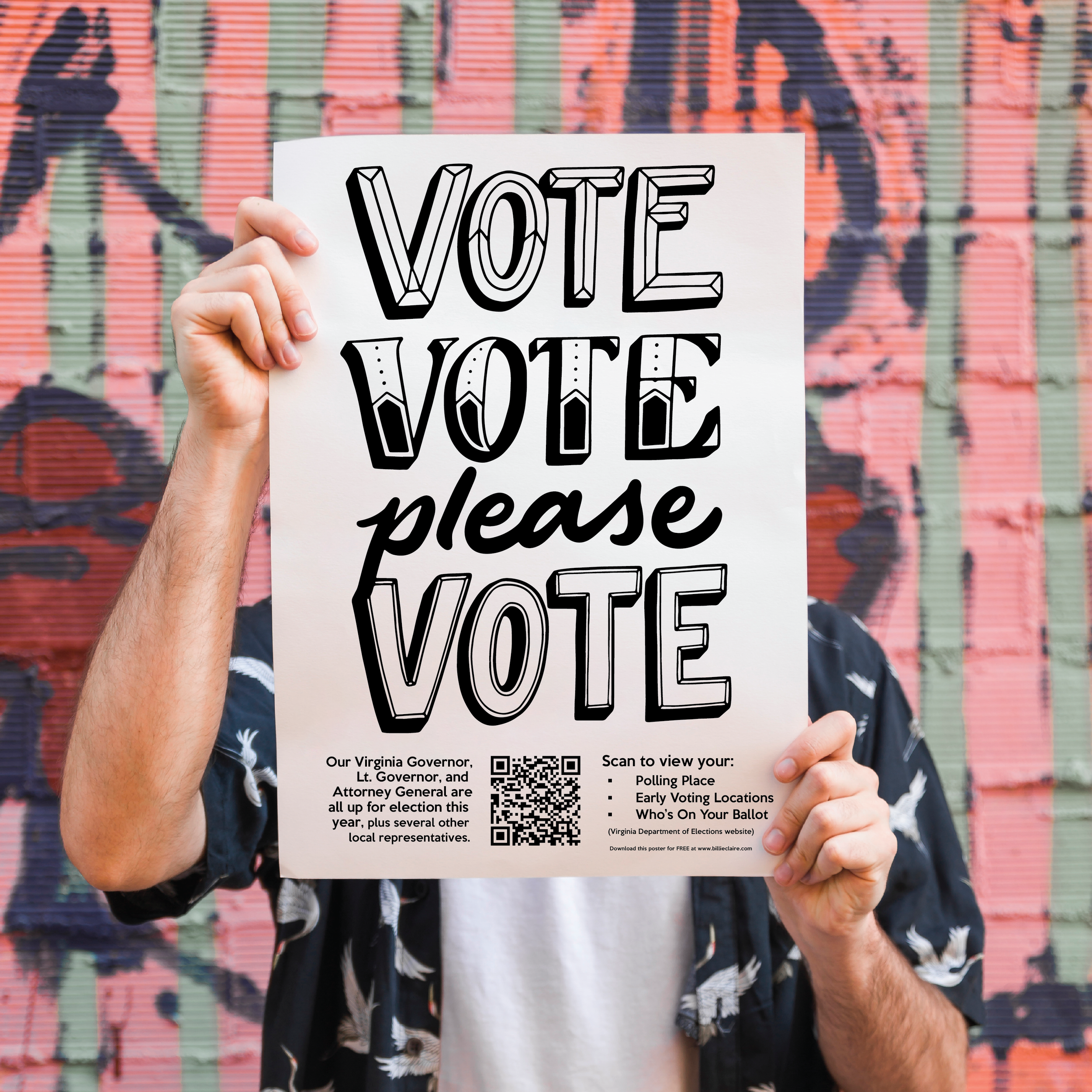 Please Vote Virginia Image - Billie Claire.png