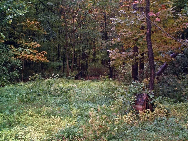 Image 20.jpg