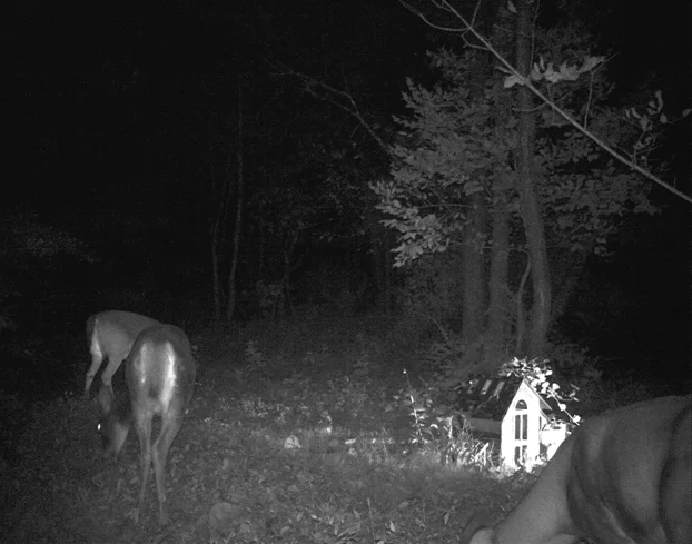 Image 13.jpg