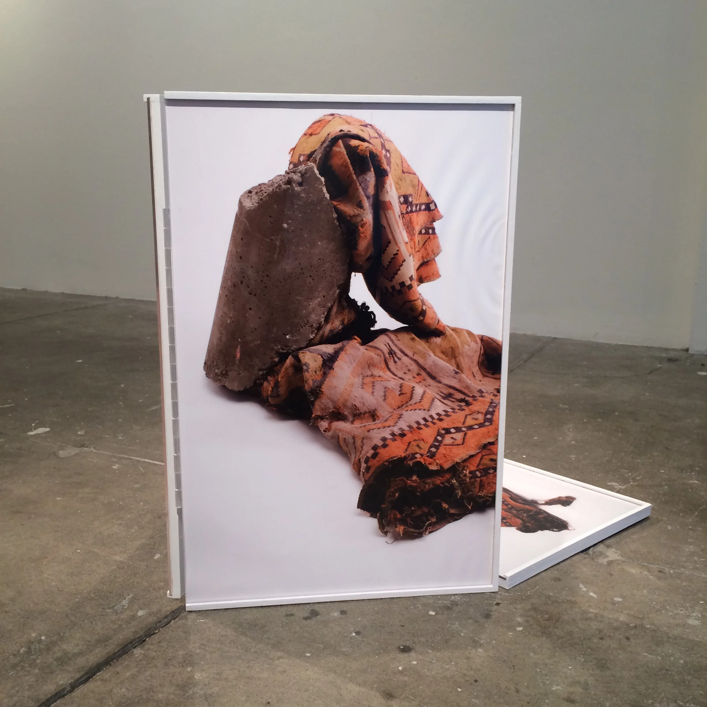 Where We Live: Vestige of One, Two, Few. Plywood, Plexiglass, digital prints, size variable, 2015