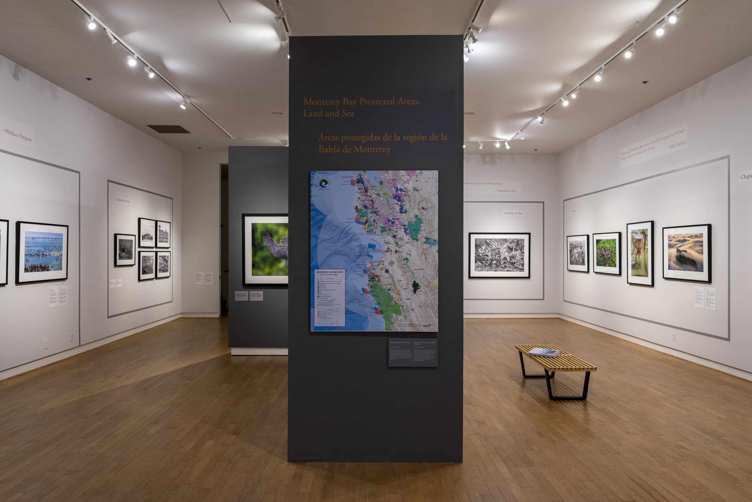 Bay of Life exhibition at Santa Cruz MAH012323_094.JPG