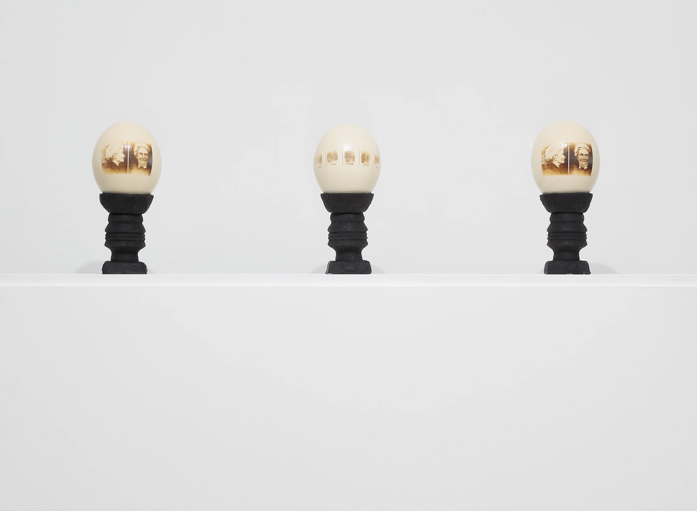 Believe, Obey, Fight, 2018