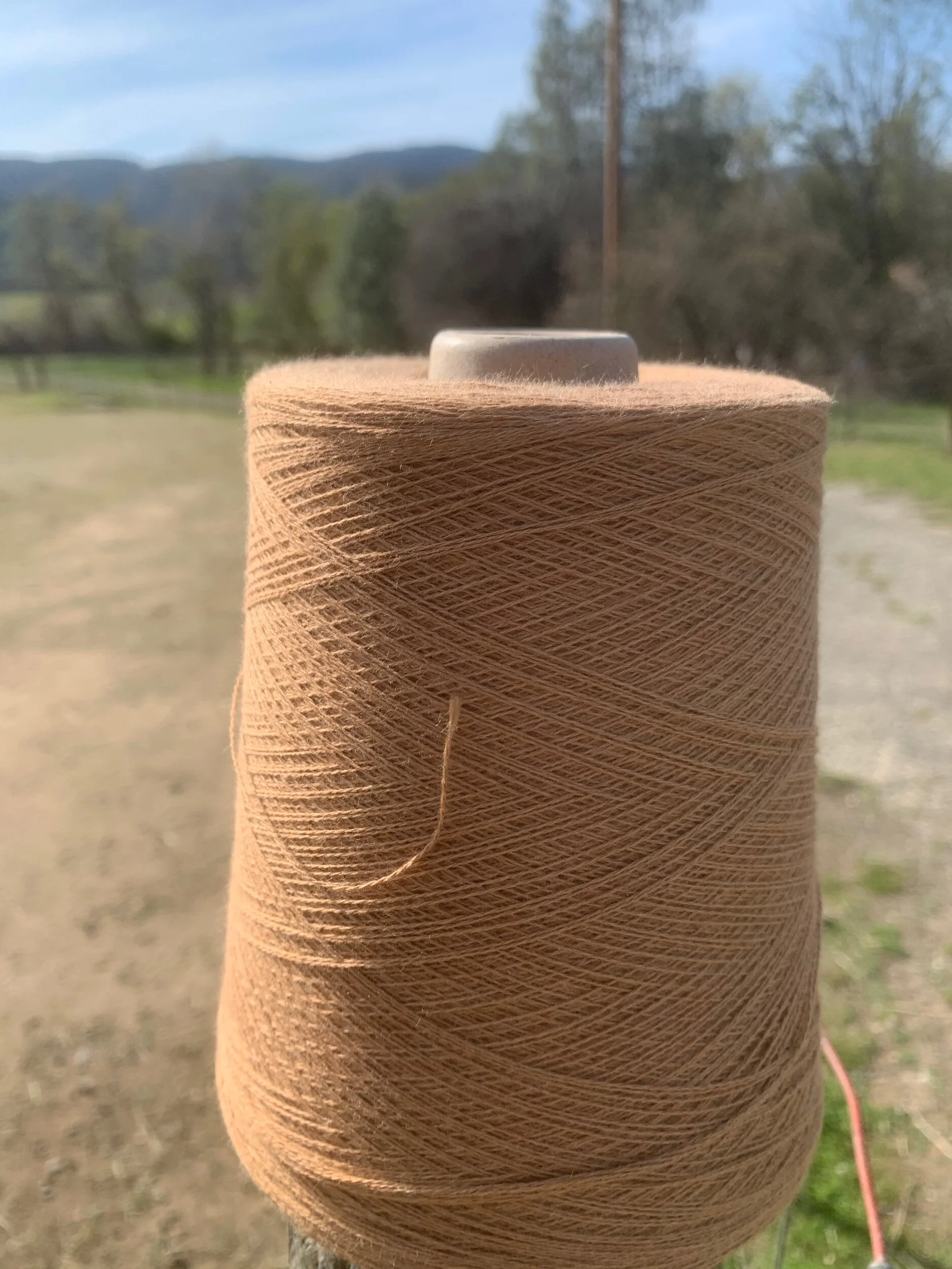 1DC222B4-A5FA-48A6-87CA-5E43697B07B6