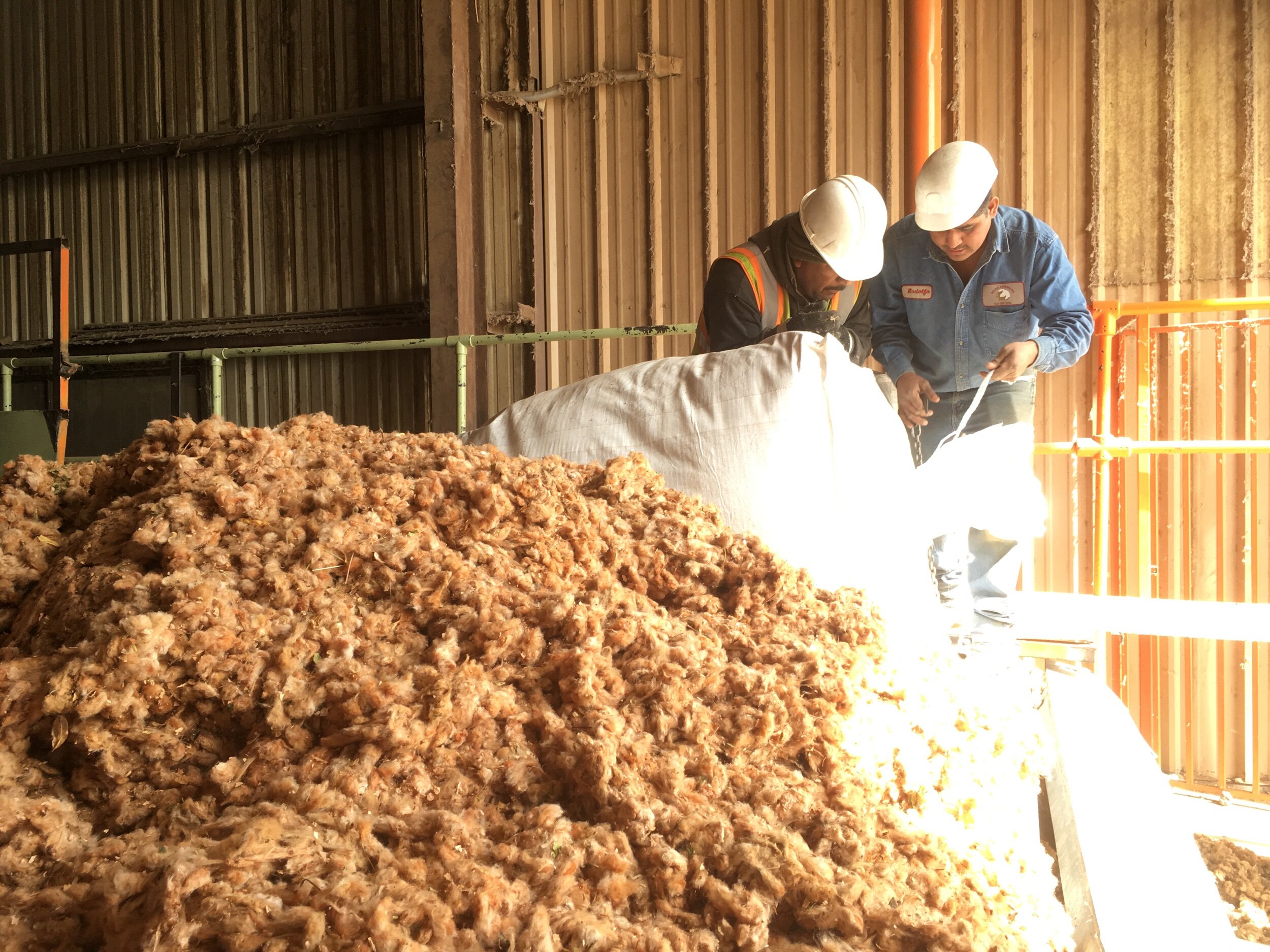 AAE0E5E4-2537-4925-86E1-08D90E5D5754