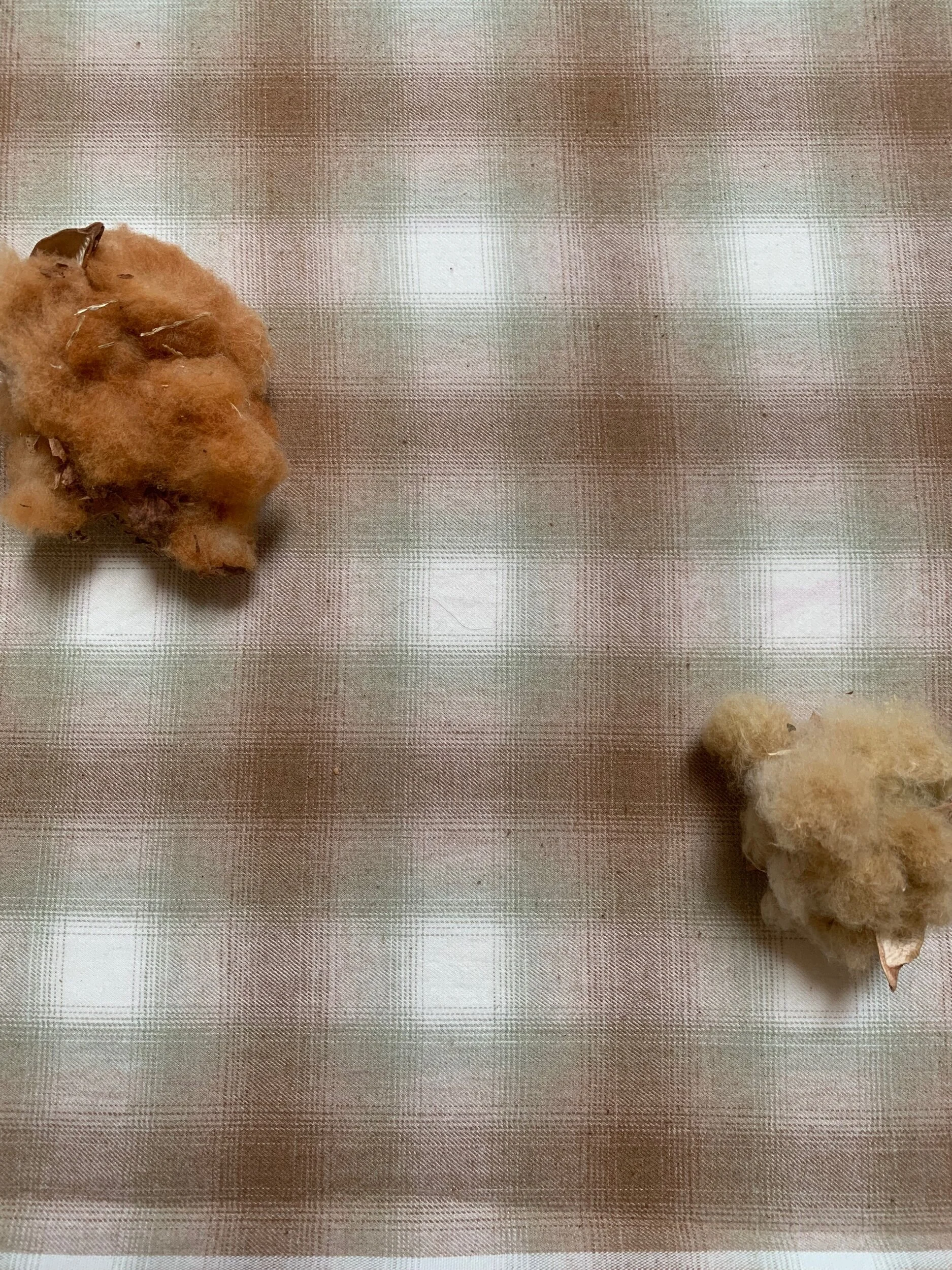 A9C939D0-46E9-4B2C-9A70-50D3F65DE7D6