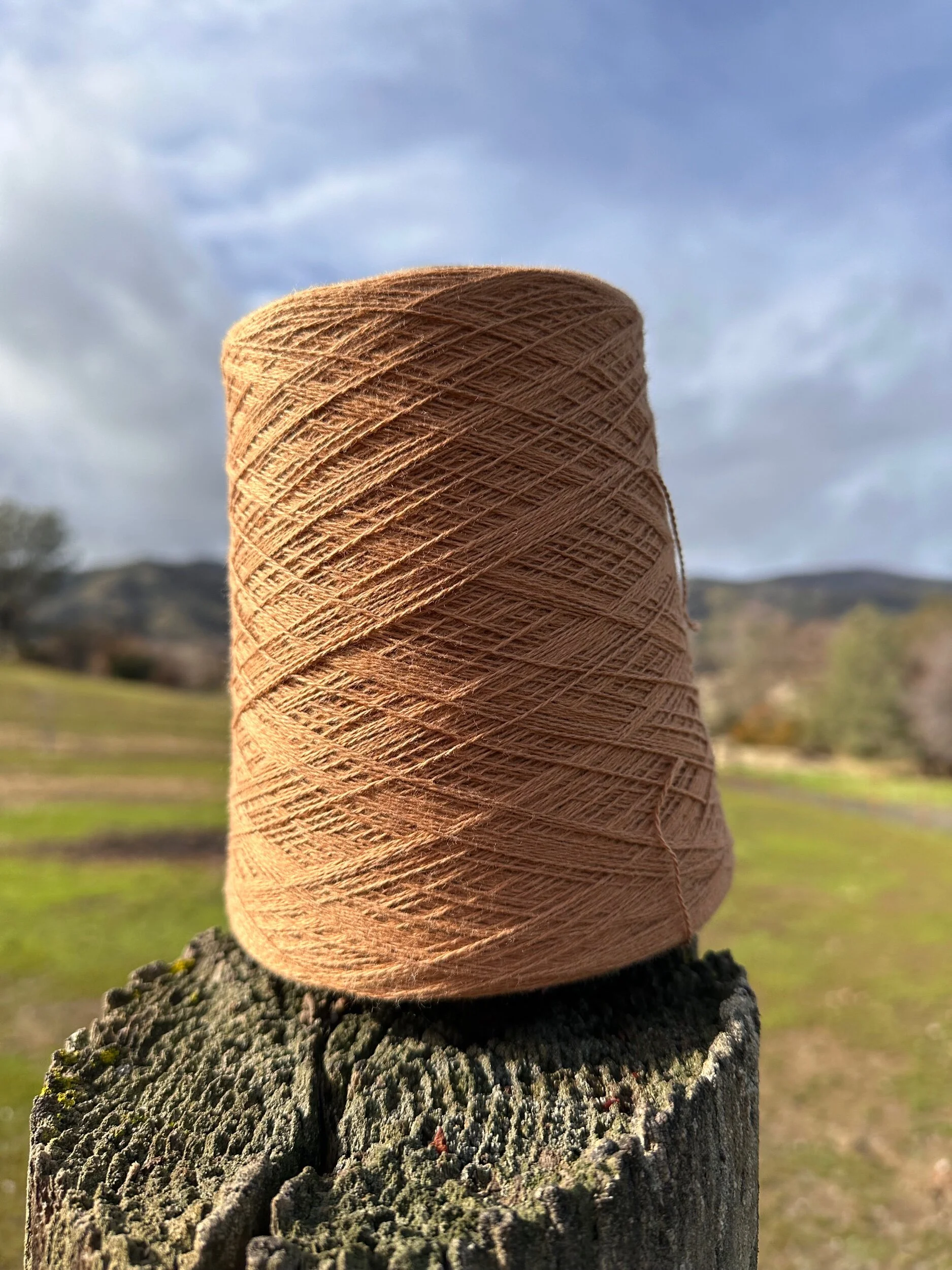 93C76DC3-C549-43CA-A7EB-00D86E2FC1E2