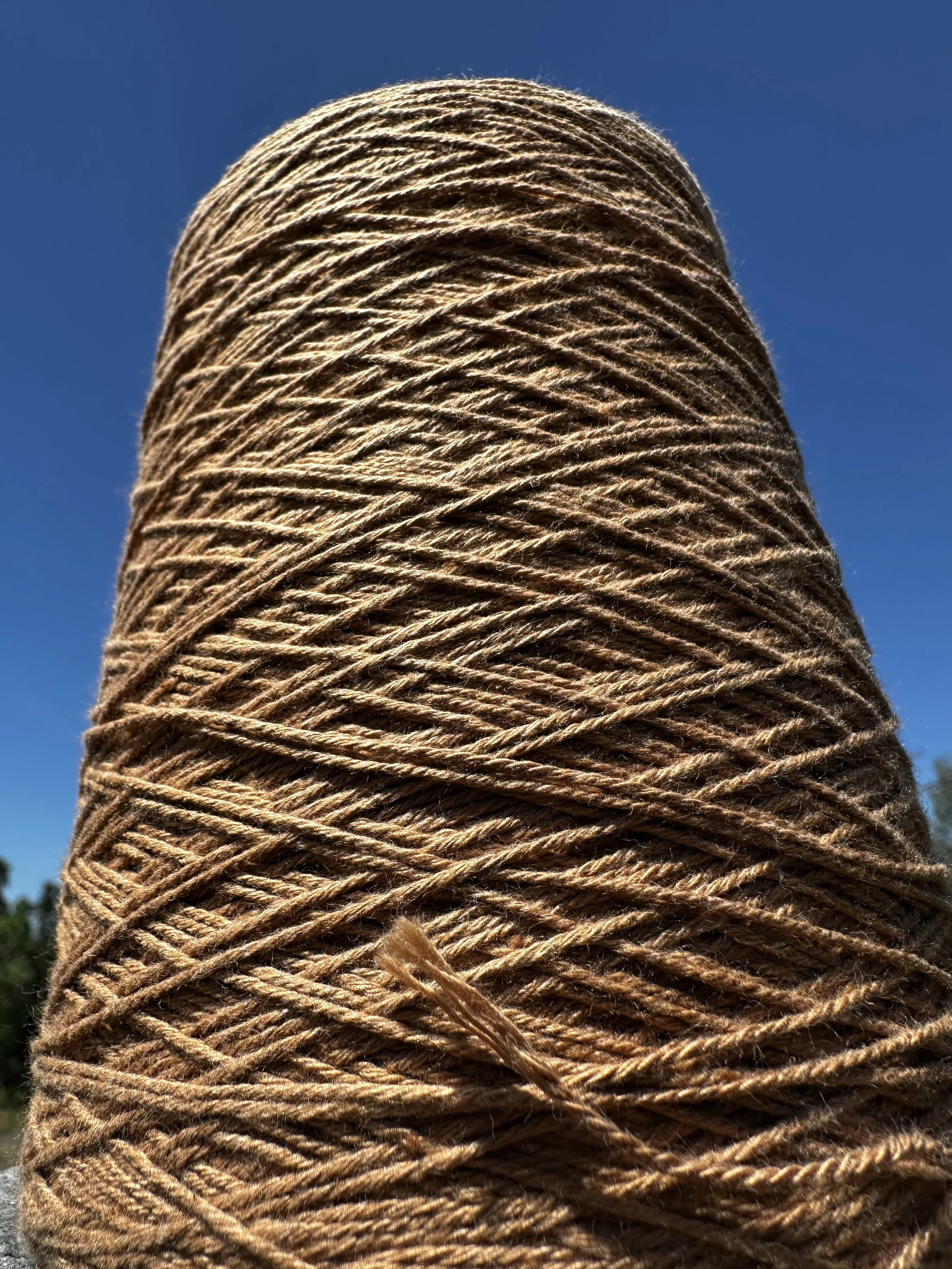 10/3/2 Sport weight Foxfibre® Colorganic® brown yarn on ~1 lb 5 oz  (~600g) cones