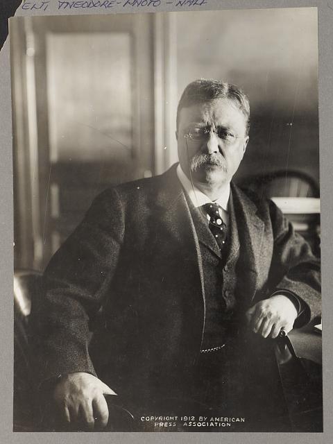 Col. Theodore Roosevelt