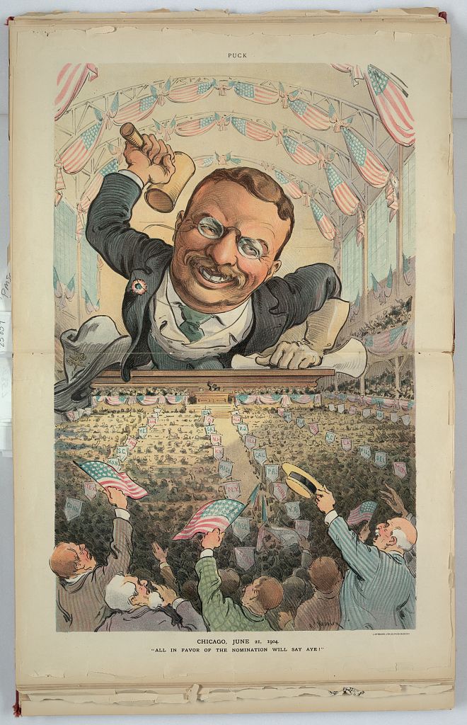 All in favor of the nomination will say aye! - Jun 15, 1904