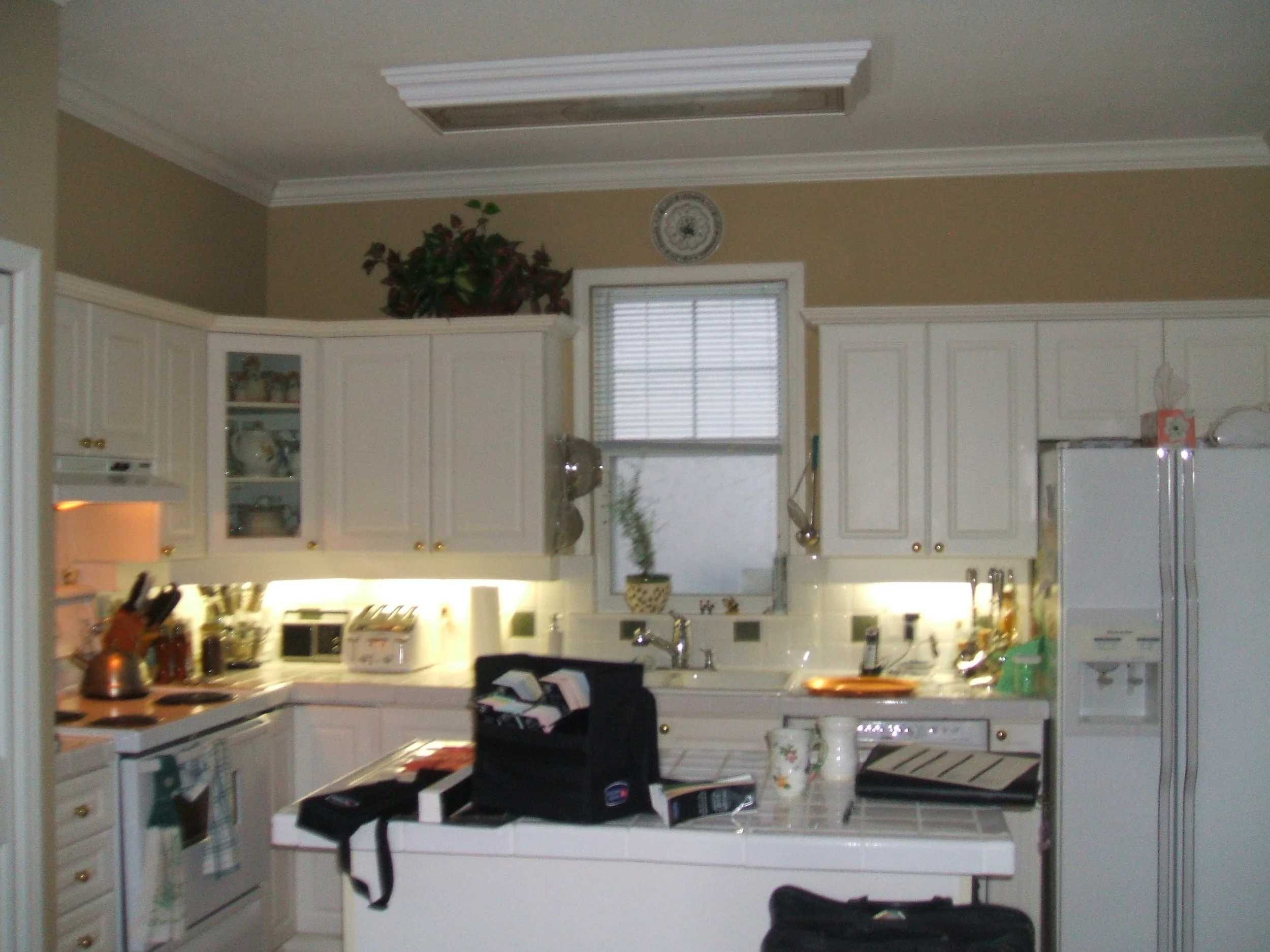 Panorama Ridge Kitchen