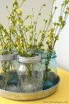 spring jar flowers.jpg
