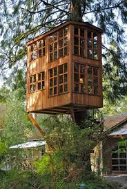 Big Grown-Up Tree House