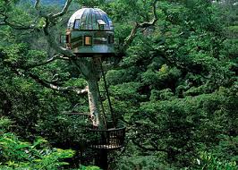 Birdcage Tree House