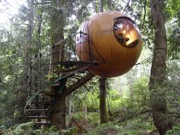 Tree EYE House