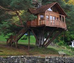 Full Scale Living Tree House 