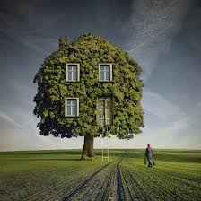 The Leafy Green Tree House 