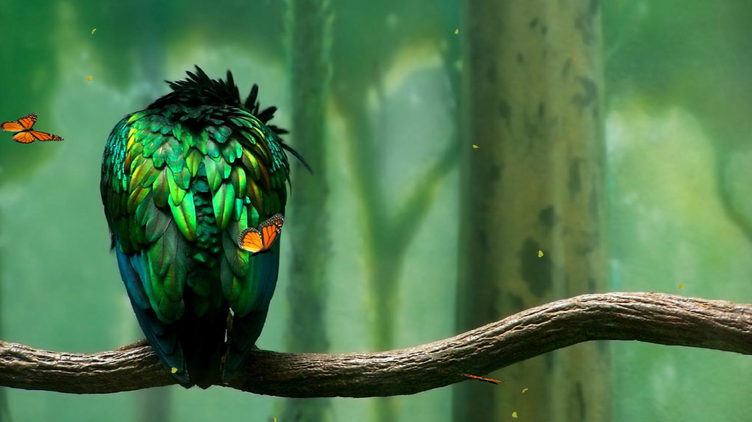 The Exotics.........Green Blue