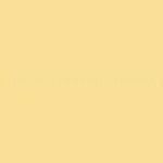 Yellow Crocus Paint Chip
