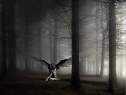 Angelic black, silver grey photography. 