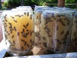 Beeswax Living Jars.