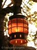 An Tree Lantern, with its organic shape of the bee hive and warm honey glow.........to light the way to your dreams. Photo by MeganBurgess