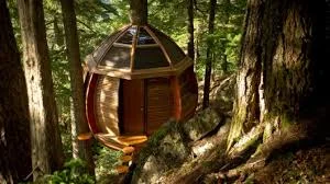 Bent Wood Orb, note the skylight windows open! Tree base floating Hive House