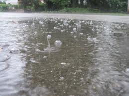 Vancouver Puddles, splish splash! 