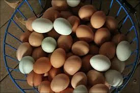 Farm Fresh Wholesome, eggs. 